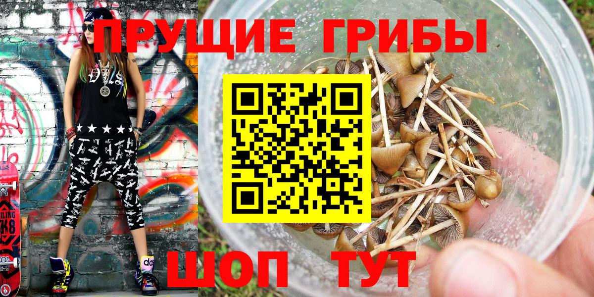 Южноуральск  Галлюциногенные грибы GOLDEN TEACHER  Вход с VPN  Псилоцибиновые грибы Magic Shrooms 