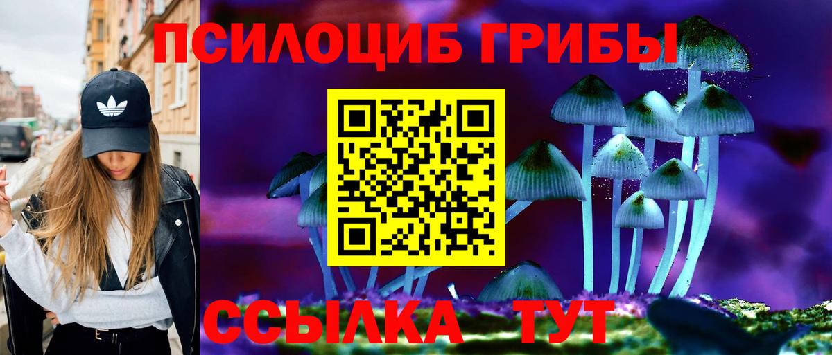 Псилоцибиновые грибы GOLDEN TEACHER Южноуральск